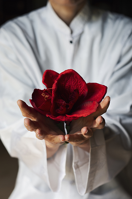 Qi Gong du Coeur copie 2